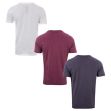 Tričko Tokyo Laundry Mens Willwood 3 Pack T-Shirts White red